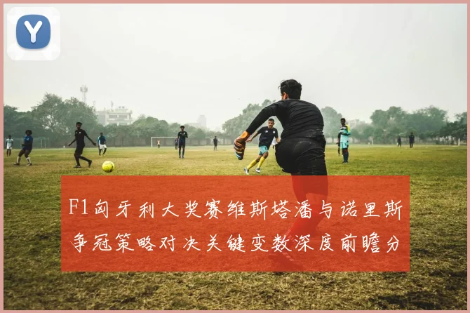 F1匈牙利大奖赛维斯塔潘与诺里斯争冠策略对决关键变数深度前瞻分析