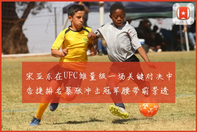 宋亚东在UFC雏量级一场关键对决中告捷排名暴涨冲击冠军腰带前景透彻分析