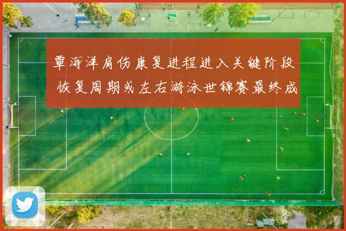 覃海洋肩伤康复进程进入关键阶段 恢复周期或左右游泳世锦赛最终成绩