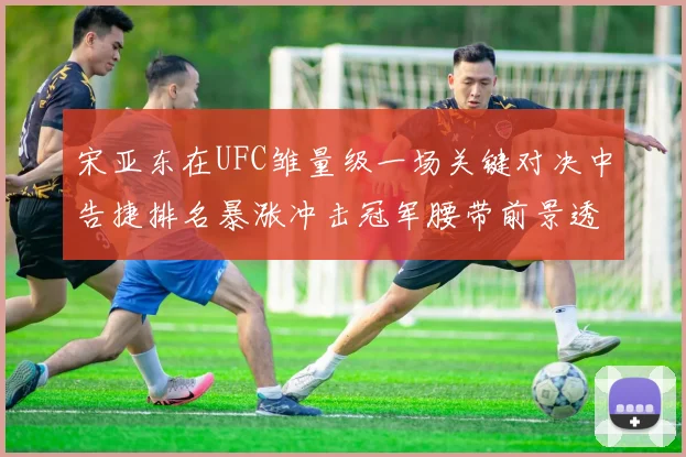 宋亚东在UFC雏量级一场关键对决中告捷排名暴涨冲击冠军腰带前景透彻分析